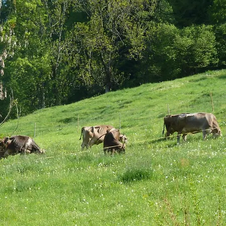 Ferienhaus B'm Hislar